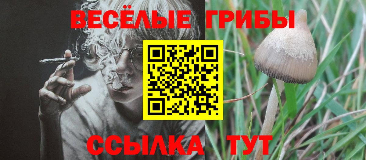Галлюциногенные грибы Psilocybe  Вход с VPN  Усть-Лабинск 